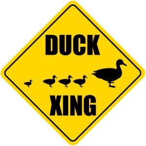 DuckXing
